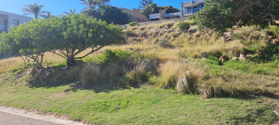 0 Bedroom Property for Sale in Linkside Western Cape